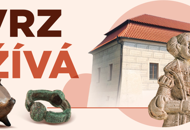 Tvrz, muzeum, artefakt