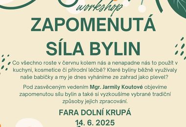 Zapomenutá síla bylin