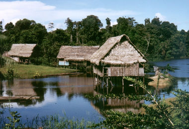 české-stopy-na-březích-amazonky