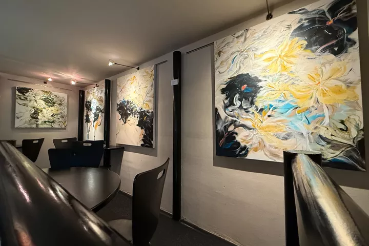 Azyl galerie