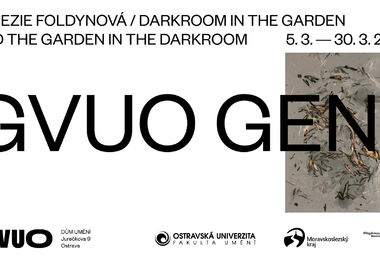TEREZIE FOLDYNOVÁ / Darkroom in The Garden and The Garden in The Darkroom